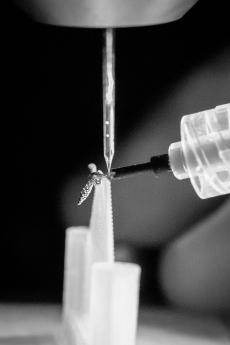 Sorry not sorry. A mosquito glued to a 3D-printed rack. (Image: Kiley Riffell)